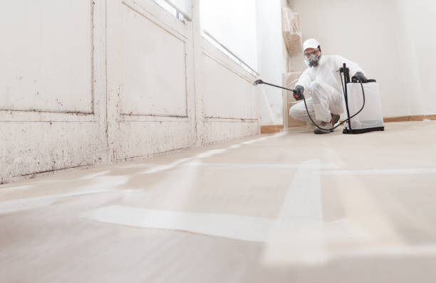 24/7 Emergency Attic Mold Remediation experts in Haverford, PA